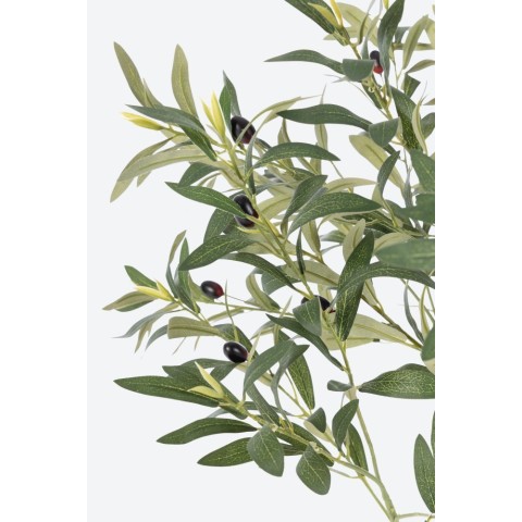 PIANTA ULIVO CON VASO H.90 2